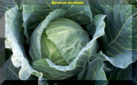 ���������� ������ �� ��������� �����: ������� ��������� ����������� � ������