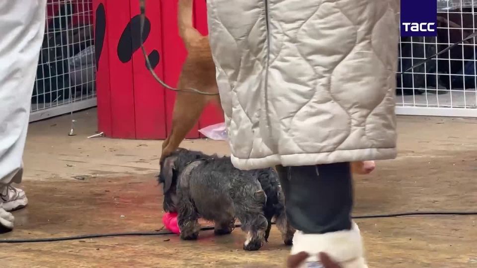 ����� �� ������ ������ ��� ��������� ����� � ����� "���������� � ������������ ����" ��������� �� 19 ������