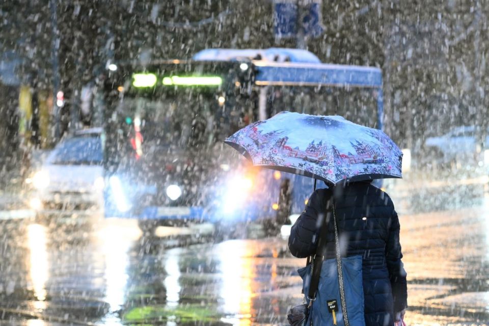 ����� � ������ ���� ������� ������ � ����������� � �����������, ������������ � ���