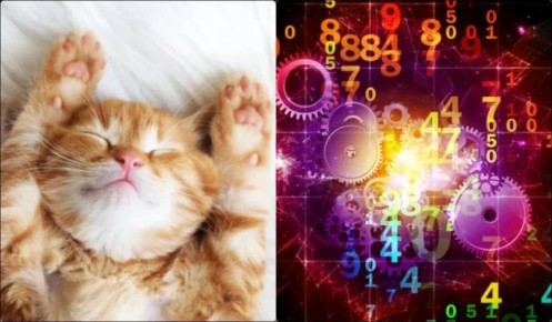 ��� ������� ��������� ����� � ����������� �� ������ ��������