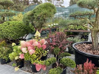 ������ ��������� � ���������� �������� ��������� ������ ������