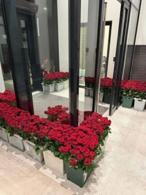 ������ ��� ����������: ������� �� ������� ������ �������, ����� ������