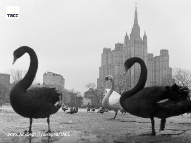 #�����_����_������. ������ � ��������