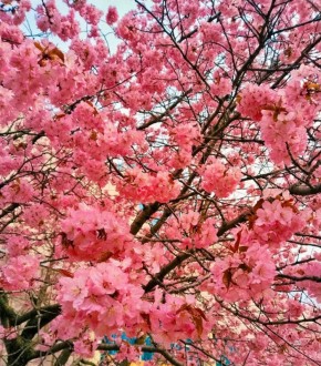 ���� �� ����� ��������, �� ���������� ��� ��������� ����� � ��� �������� ������!