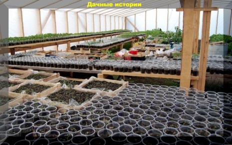 �������� ������ ��� ���������: �������� �� 20 ���������� ��������