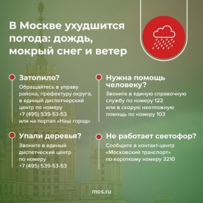 � ������ ��������� ������. ������� ������� ��������� �����, ������ ���� � ����� � �������� ����� �� 15 �/�