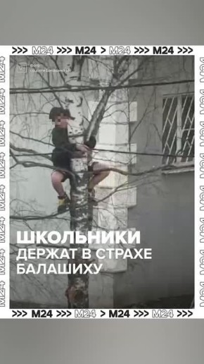 ����� ��������3 ������� ����� ������������� �����������