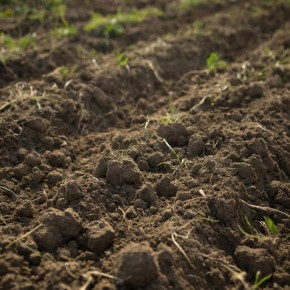 ����� ����� �������� �����: ��� ���������� ������ ������� � ������������ �������