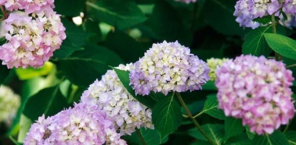 ��� �������� �������������� ������ ��������� � ����� ����