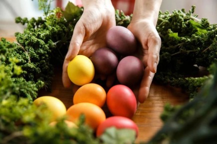 ���������� ����: ��������� ����������� ��������� ��� ����� ��������