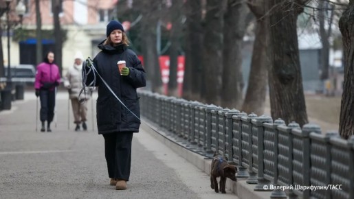 ����������� ��������� � ������ � ������ ��������� ������