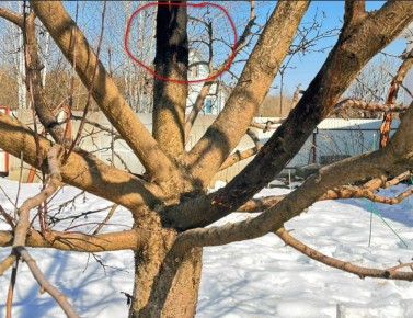 �������� ������: ��� ���������� �������� �������� ��������