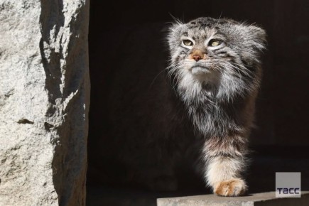 ������� ������������� ���� ������ � �������� ����� ��������, ������� � ����������� �����, ������� �������� ������ ���������