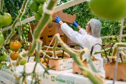 ��������� ���������������: ��� ���������� ����������� ���� ��������� � ��������