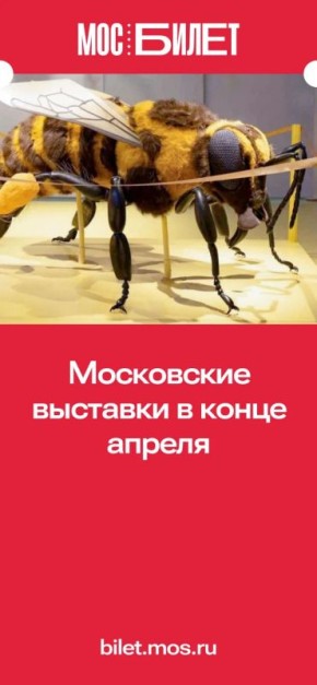 � ����� ��������� ������������ �� ���������� ���������, ������� ����� �������� � ��������� ������