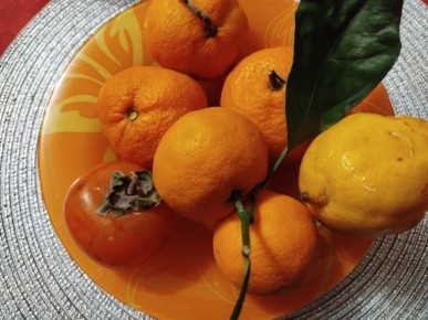 �� ��� ������: ������������ ��������� �������� �, � ������� �� �� �����