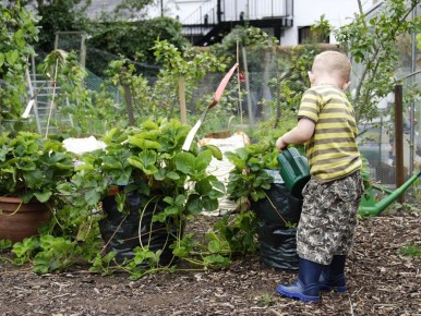 ��� ������� ���������� ������: ����������� �������� ������ ��� �����