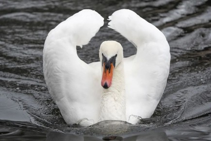 ��� � ������ ������� �������? �������� ����� ���� ��� ������� � ������ �������� � ����������� ������� � ������� � ��������������, � ��������� ����� ������ ������������ �� �����