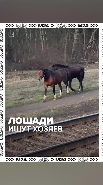 ��������� ������� ������� �� �������� ��������� � ����������� ����� �/� ����� � ������ ������� ������������ �� ����������� �����������