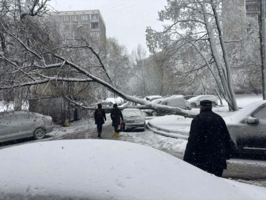 � ����� ������������ ���������, ��� �������� ������� �� ����������� ��-�� ��������� ����������