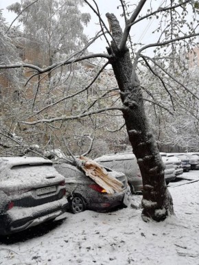 ��������� ������� ��-�� ��������� ����� �� �������������� ���� � ������ � �����������