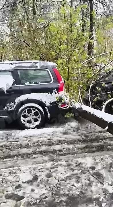 � ������ ���������� ���� ����������