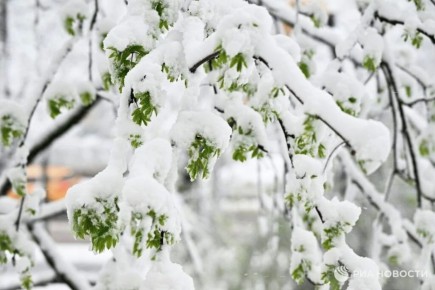 �������� � ������ ����� ������ 55-������ ��������