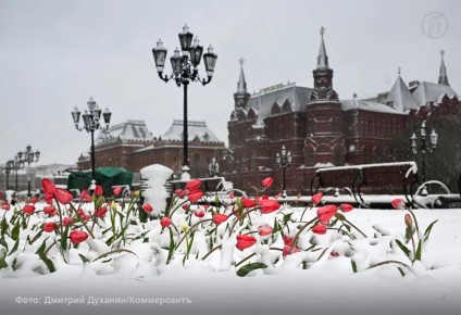 ������ ����������� ����������� ��������� � ������