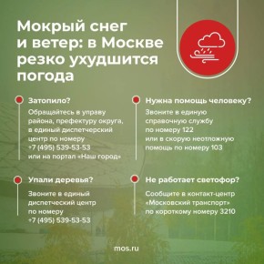 ������������ � ������ ���������, �������� ��������� �� ����� ���