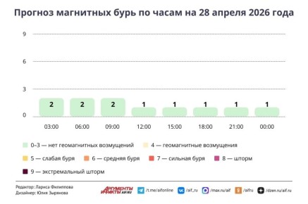 ������ � ������ 28 ������. ��������