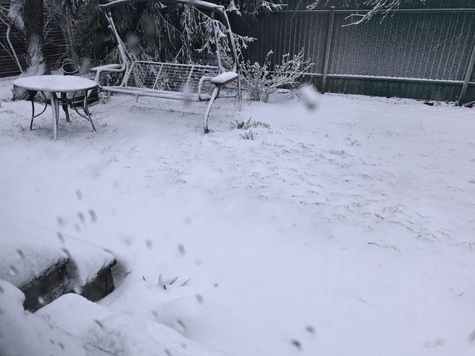 � ����������� ������ ���� ������ ���������� � ������ ��������