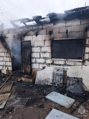 � ������ ��������� ��� ������ � ��������� ��������� ������� 200 ����� ������ ��������, �������� � ��� ������ �� �������