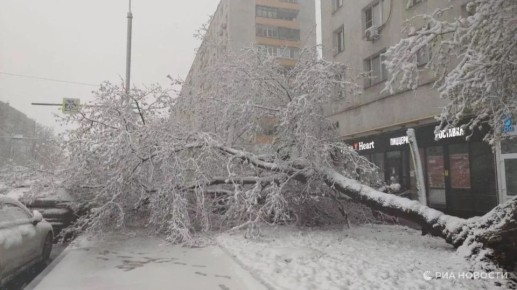 ����� ���� �������� ���� ������� ������ � ������ � ������ ������