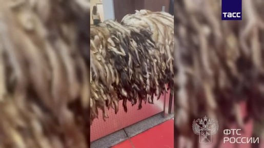 � ����������� � ������ � ���������� ����� 930 ������ ������ ����� ���������� ����� 1,2 ��� ������, �������� �����-������ ��� ��