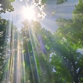 ������� ��������� �������� ��������� ������ � ������ ���������� �� +22 ��������