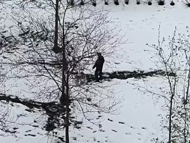 ���������: ������ ����������� � ���������� 3 ���