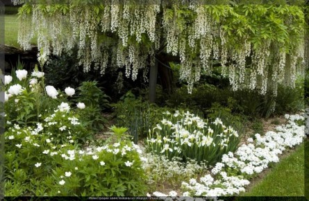 ����������� ������: ��� ������� ����������� ����� ��� � �������� ��������� �������