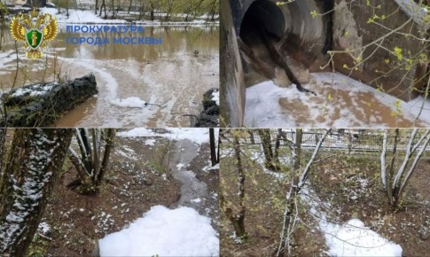 ����������� ��������������� ����������� �. ������ ������������ �������� ���������� � ����������� ������ �������� ����������� � ������� ������ �� ���� ����� �������