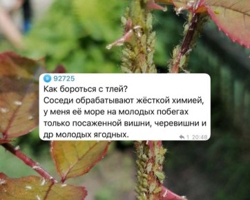 ����� ������ ���������� ������: ��� �� ����� ��� ������ ������