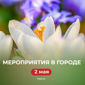 ���� ����� � ������ �������? ��������� �����