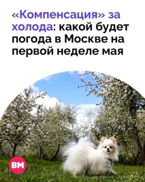����� ��������� ������ ������ � ������ ������� ������ ������������ �����