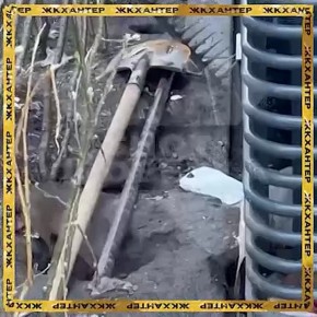 ����� ��������� ��������� ����� �������� � ����� ������