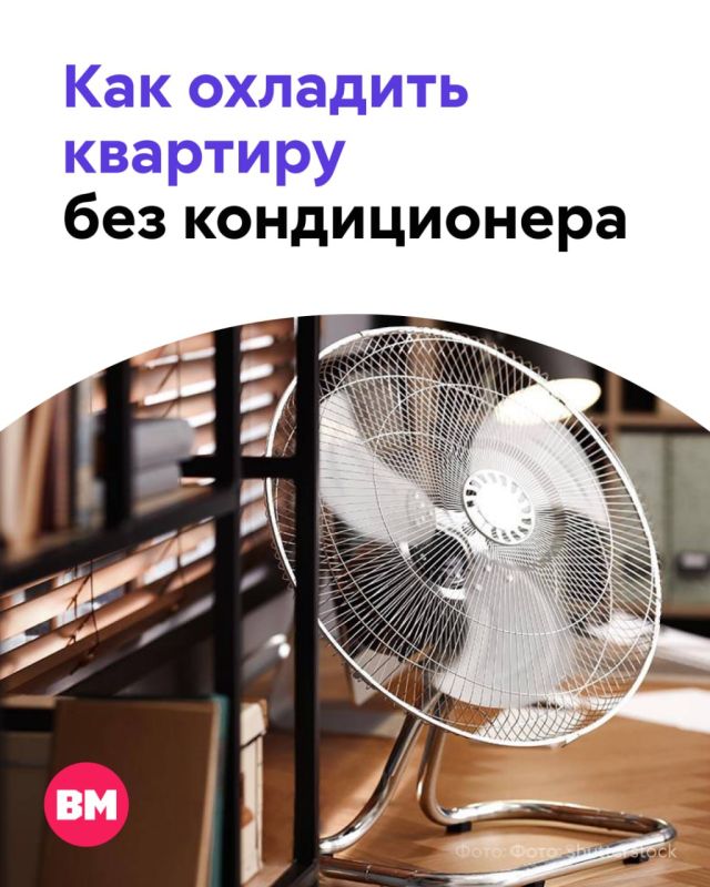 В столичном регионе всю неделю прогнозируется аномальная жара
