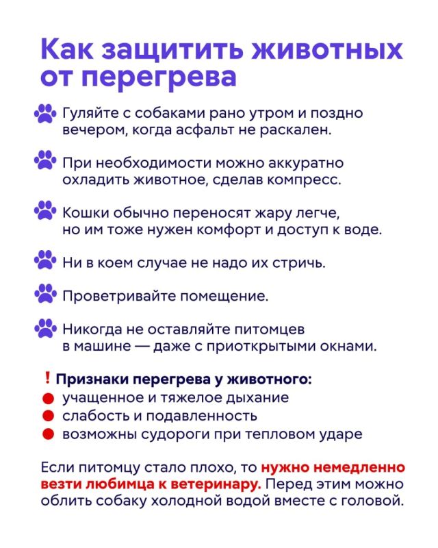 Температура воздуха в Москве поднялась до +30 градусов Температура воздуха в Москве поднялась до +30 градусов