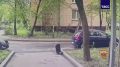 Полиция задержала подростка, который вырвал у женщины сумку с 600 тыс