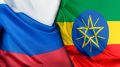 21 мая заместитель Министра иностранных дел Российской Федерации Г.Е.Борисенко принял Посла Федеративной Демократической Республики Эфиопии в Москве Генета Тешоме Жирру по его просьбе