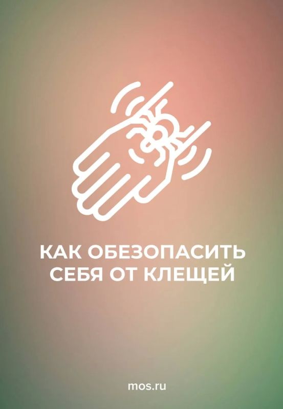Отправляетесь на прогулку в парк или хотите провести выходные на природе? Тогда не забывайте о том, как обезопасить себя от клещей