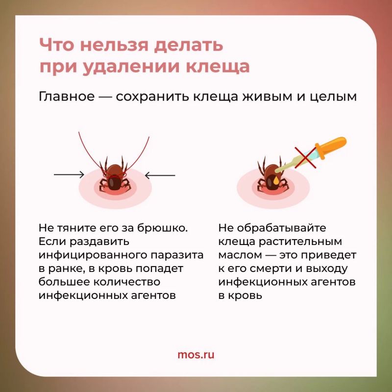 Отправляетесь на прогулку в парк или хотите провести выходные на природе? Тогда не забывайте о том, как обезопасить себя от клещей Отправляетесь на прогулку в парк или хотите провести выходные на природе? Тогда не забывайте о том, как обезопасить себя от клещей