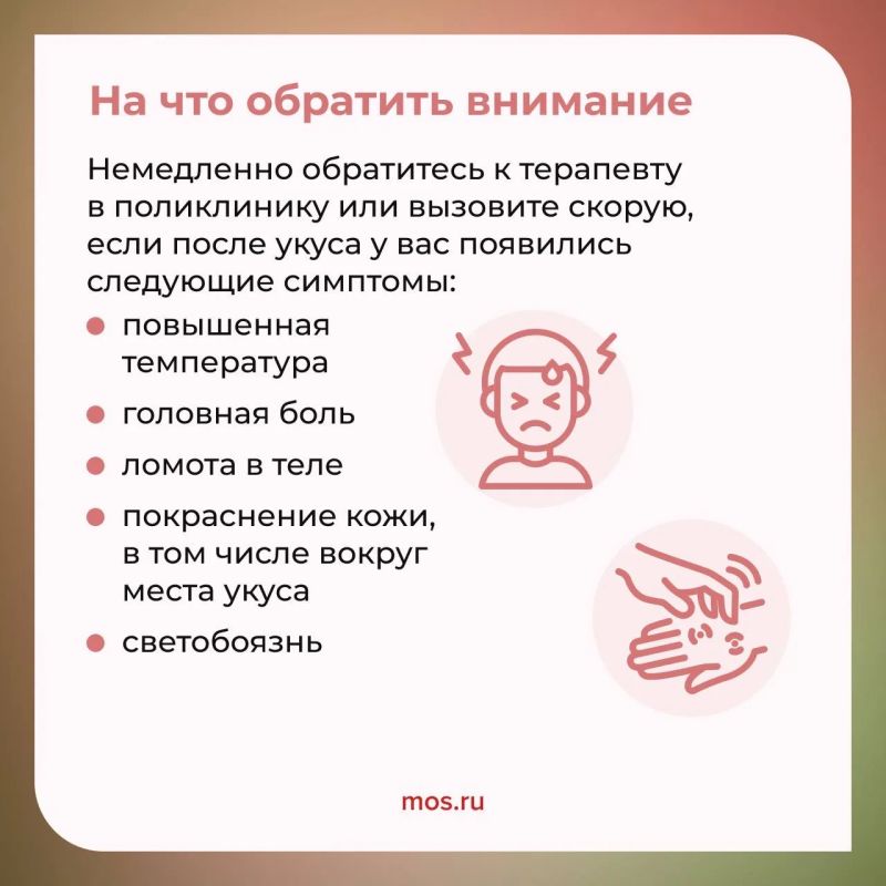 Отправляетесь на прогулку в парк или хотите провести выходные на природе? Тогда не забывайте о том, как обезопасить себя от клещей Отправляетесь на прогулку в парк или хотите провести выходные на природе? Тогда не забывайте о том, как обезопасить себя от клещей