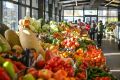 На ярмарках выходного дня 25 мая откроется прием заявок на участие в летней торговой сессии
